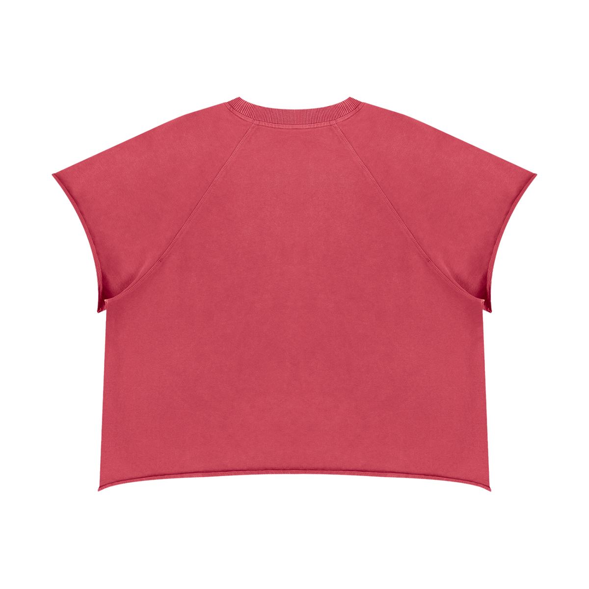 Gymora's Unisex Vintage Wash Raw Edge Boxy T-Shirt